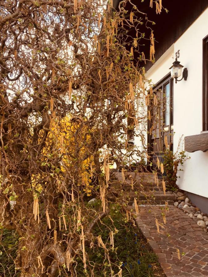 Hegau-Lounge-Bodensee Muhlhausen-Ehingen ภายนอก รูปภาพ